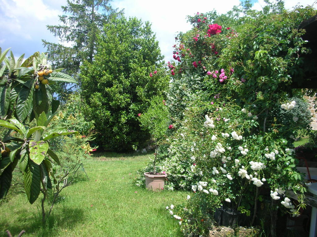 Podere Le Chiuse Holiday home