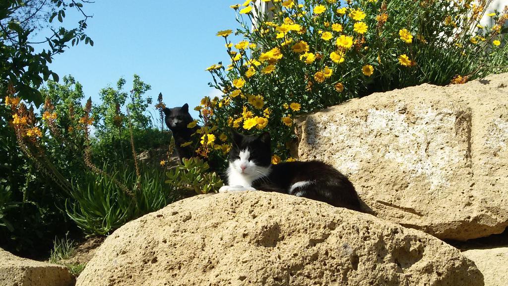 Holiday home Podere Le Chiuse Sovana